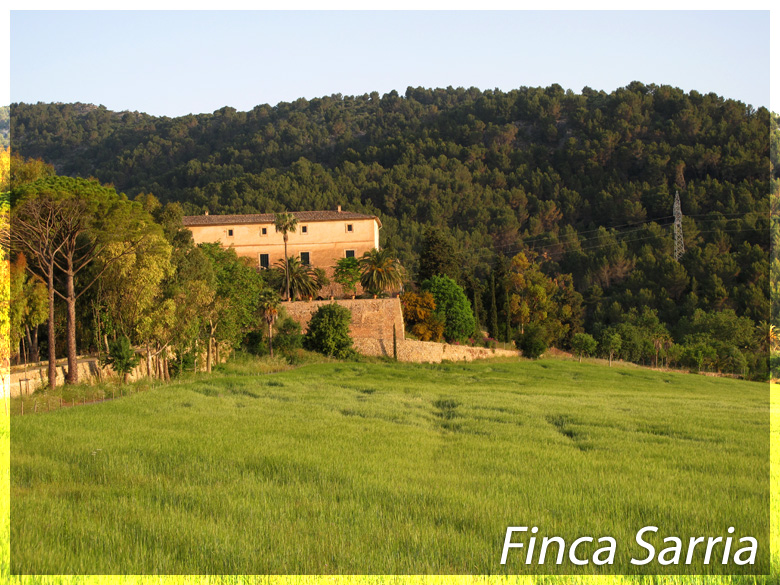 Finca Sarria, Mallorca